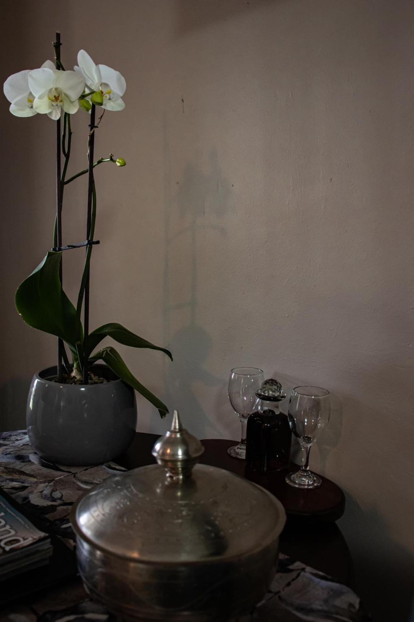 Drakensview Self Catering Appartement Winterton Buitenkant foto