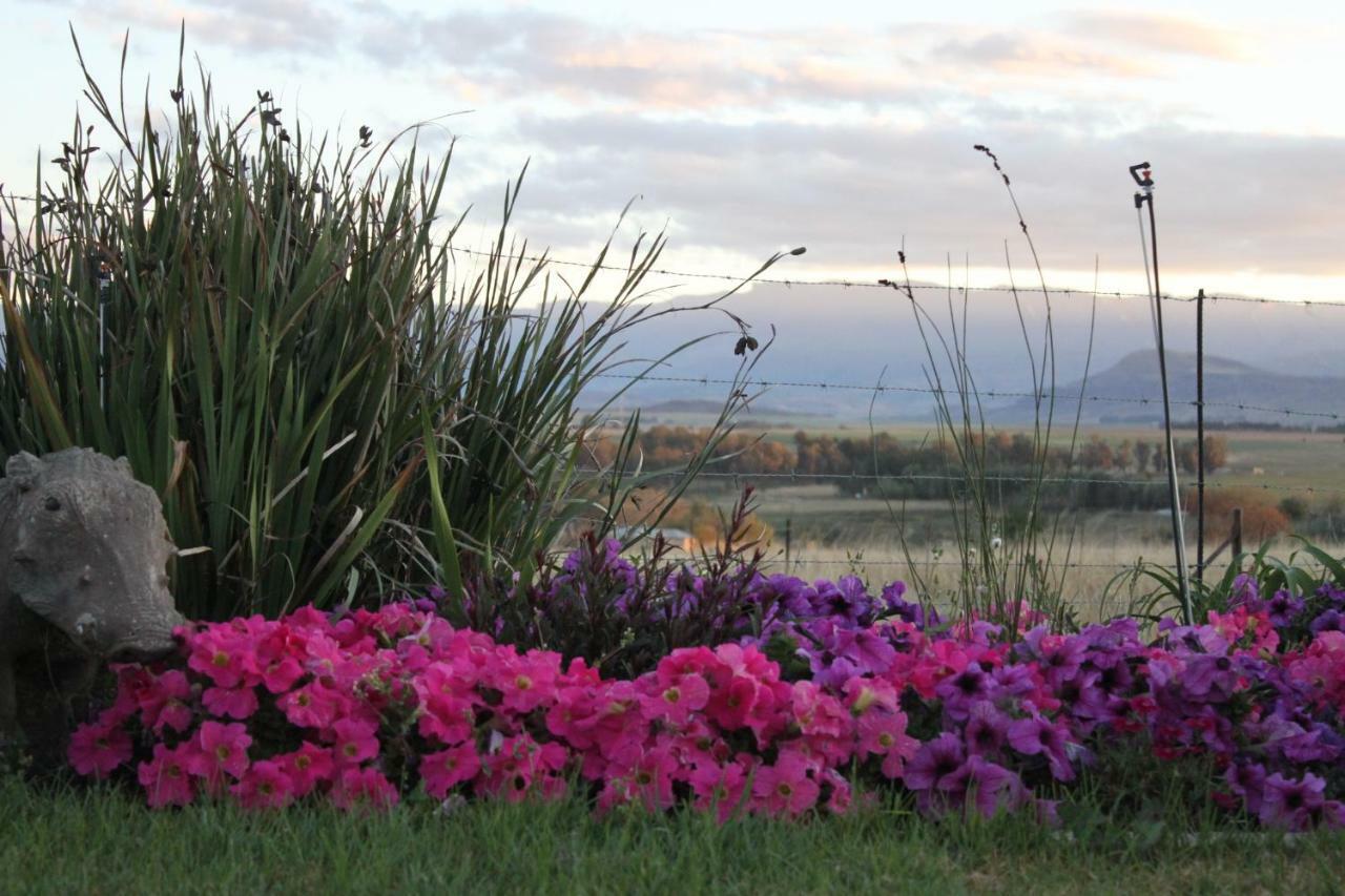 Drakensview Self Catering Appartement Winterton Buitenkant foto